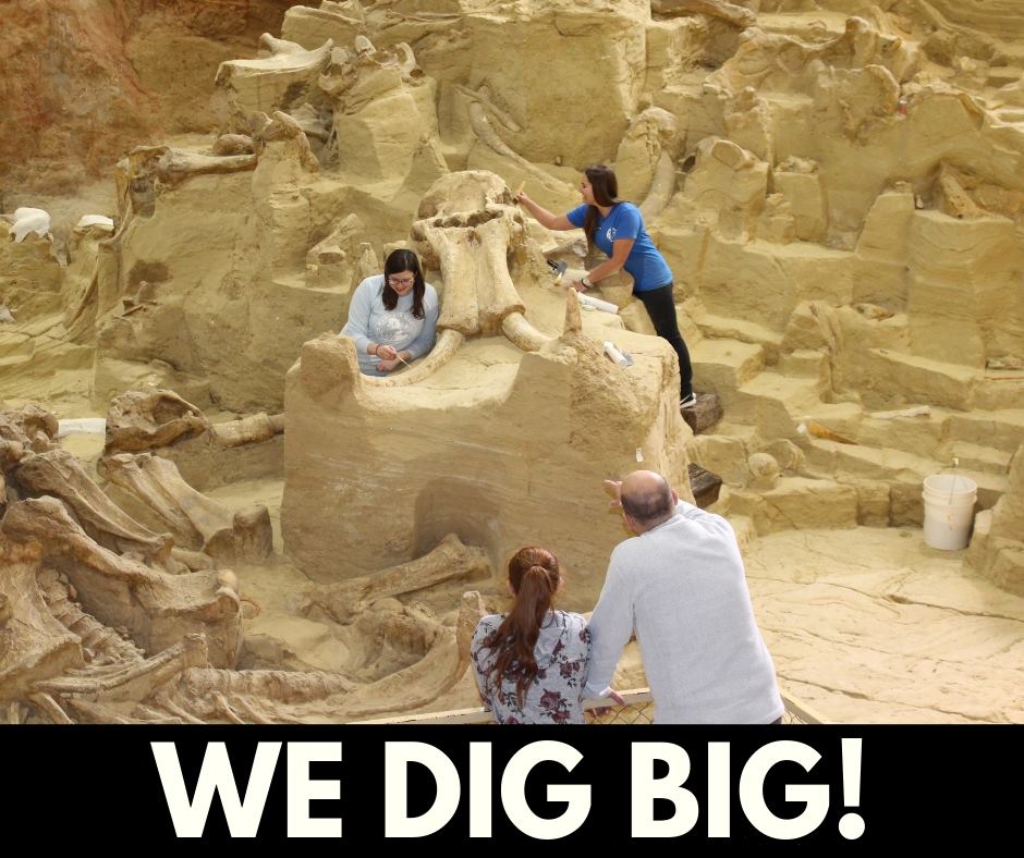 Mammoth Updates Experiment